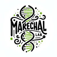 Maréchal Lab (@marechallab) 's Twitter Profile