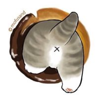 ゆき@猫好き🐈⬛🐈🐈 (@yuki_ocd2022) 's Twitter Profile