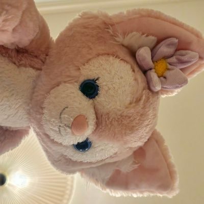 soyeongnekoneko's profile picture. 計数数理B4