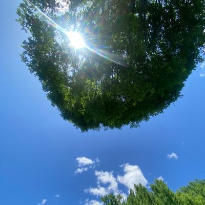 louis_voice1's profile picture. 