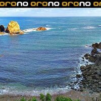 PLATAFORMA ORO NO (@oro_no) 's Twitter Profile Photo