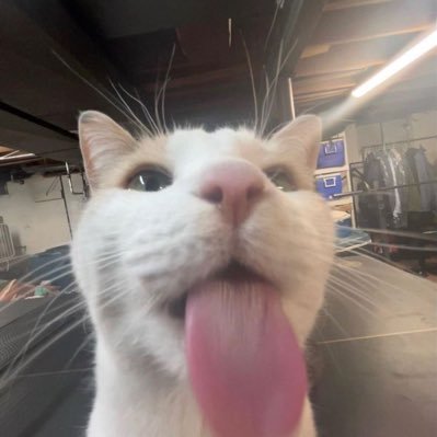 onlyyouformine's profile picture. 