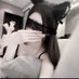 天鹅肉 (@iinen152183411) Twitter profile photo 天鹅肉 (@iinen152183411) Twitter profile photo