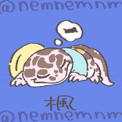 kanapupo_keke's profile picture. 