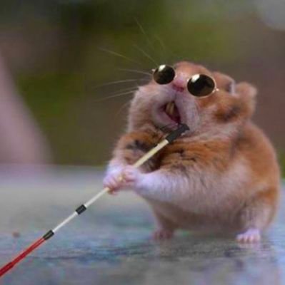 shouldveknown88's profile picture. and peace belongs to me