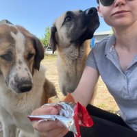 Gökçe (@gokceseyler) 's Twitter Profile Photo