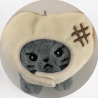 뵤뵤 (@formypeterpan_) 's Twitter Profile