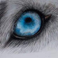 helen cooper (@hellycoop76) 's Twitter Profile