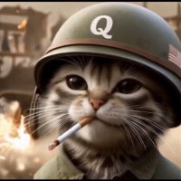 Dave Fromholz (@davefromholz) 's Twitter Profile