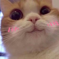 PSKK_11 (@pmt6622) 's Twitter Profile