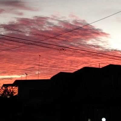 iiMg0sVteuECpc1's profile picture. 