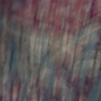NomadWanderer (@crypt0_peta) 's Twitter Profile