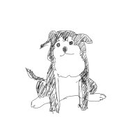 みかん (@mikaniro_inu) 's Twitter Profile Photo みかん (@mikaniro_inu) 's Twitter Profile Photo