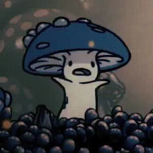 soioEE's profile picture. 
