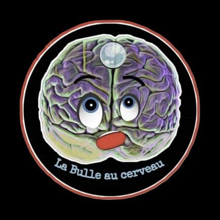 BulleAuCerveau's profile picture. Bienvenue dans La Bulle au cerveau. 

Page humoristique principalement sur l'univers de la désinfo.