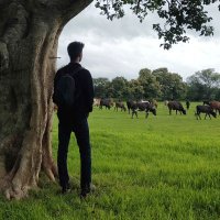 Nithesh Shetty (@nitheshshettyy) 's Twitter Profile