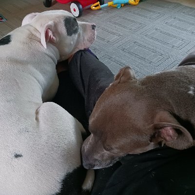 squareishpeg's profile picture. Grateful recovering alcoholic. Trudging the road of happy destiny. #FriendofBillW #grateful #recovery #blessed - Plz no DM's