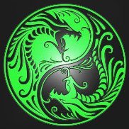 mortiseb1's profile picture. 