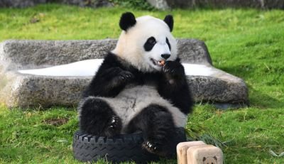 papa16fanta's profile picture. 相談のります