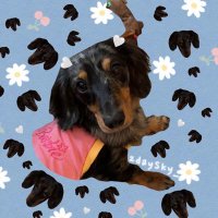 𝟮𝙙𝙖𝙮𝙎𝙠𝙮人᧔🤍᧓ (@2daysky_) 's Twitter Profile Photo 𝟮𝙙𝙖𝙮𝙎𝙠𝙮人᧔🤍᧓ (@2daysky_) 's Twitter Profile Photo