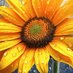Rainy Sunflower🌻🌧 (@ladychacha2021) Twitter profile photo Rainy Sunflower🌻🌧 (@ladychacha2021) Twitter profile photo