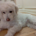 David Virgin - @DavidVirgi2525 - Twitter