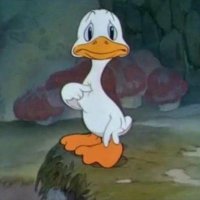 . (@g0rdinhocarente) 's Twitter Profile