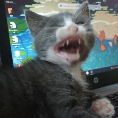 16 || Does stuff with squares || Plays Minecraft || My discord is ephial