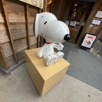 じゅん (@junjun_cdg0802) 's Twitter Profile