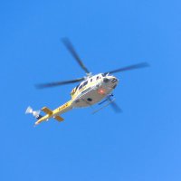 usfs_r5 (@usfs_r5) 's Twitter Profile
