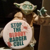 Clive Swinsco (@cswinsco13471) 's Twitter Profile Photo