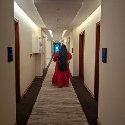 ekidose's profile picture. 