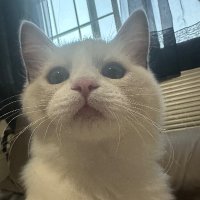 b (@ahbi134) 's Twitter Profile
