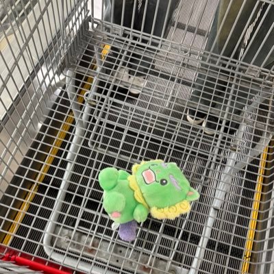 _n__z__'s profile picture. 