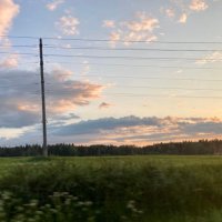 renatus🤍 (@renatuscactus) 's Twitter Profile Photo