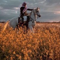 عبد الملك (@abd_elmalikk) 's Twitter Profile