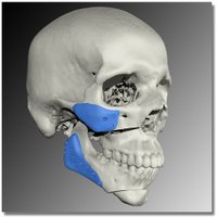 3D Lab Radboudumc (@3dlabradboudumc) 's Twitter Profile