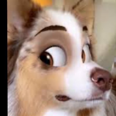 bfettig71's profile picture. 