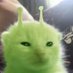 kiwi๐ฅ bleep blorp (@c4tzfromsp4ce) Twitter profile photo kiwi๐ฅ bleep blorp (@c4tzfromsp4ce) Twitter profile photo