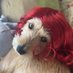 buttercup ✿◕ ‿ ◕✿ (@marie_gerbasi) Twitter profile photo buttercup ✿◕ ‿ ◕✿ (@marie_gerbasi) Twitter profile photo