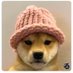 RashY (@rashymoh1) Twitter profile photo RashY (@rashymoh1) Twitter profile photo