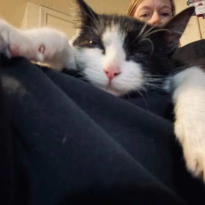 KGSullivan321's profile picture. wife, Mom, Cards fan