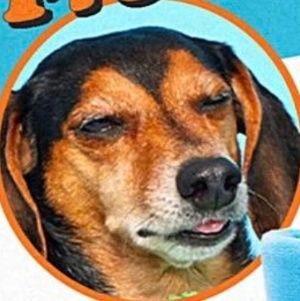 martlet1984's profile picture. That guy that does those things he does!