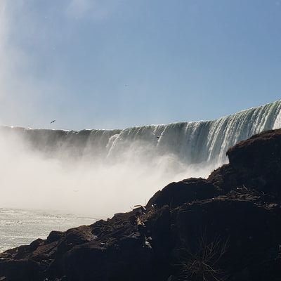 MarianP50114206's profile picture. 