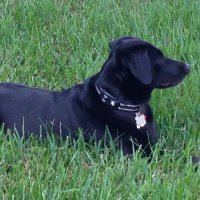 Will Christian (@wcballgames) 's Twitter Profile