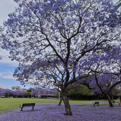 Outdoors199's profile picture. Liberal, M, தமிழ்