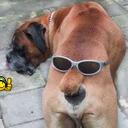 Roger Hocking - @lazygeezer - Twitter