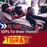 mueztg's profile picture. ትግራይ ትርግታ ልበይ💛❤️ #TigrayGenocide #StopTigrayGenocide