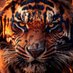 ⚜️Neauxp⚜️ (@eltodd66) Twitter profile photo ⚜️Neauxp⚜️ (@eltodd66) Twitter profile photo