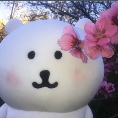 cuddle_forever7's profile picture. 🚪52纯绿|学业繁忙见谅